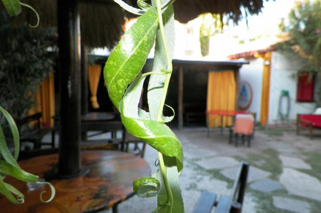 Hostel Mendoza Inn ภายนอก รูปภาพ